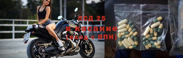 мдпв Магас