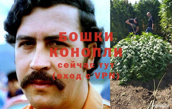 эйфоретик Майский