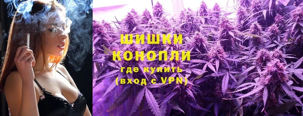 мдпв Магас