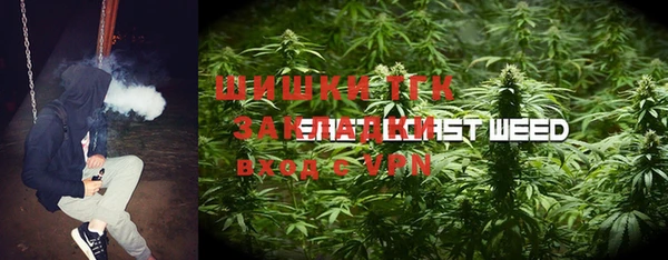 эйфоретик Майский