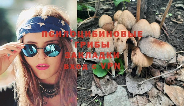 эйфоретик Майский