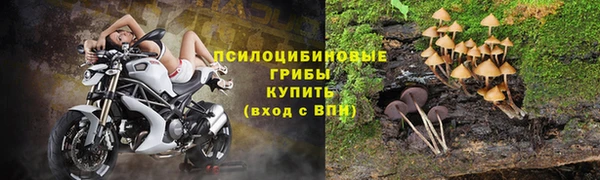 эйфоретик Майский