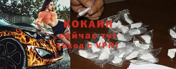 эйфоретик Майский