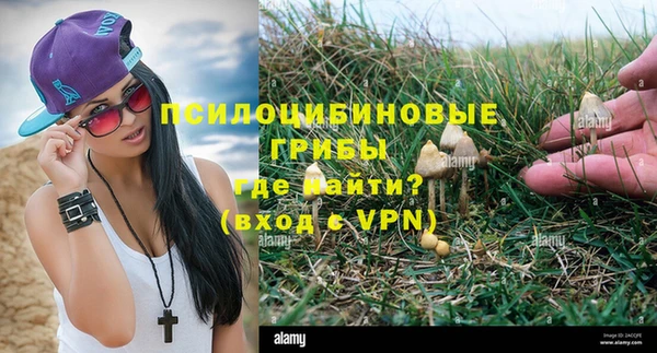 дмт Магадан