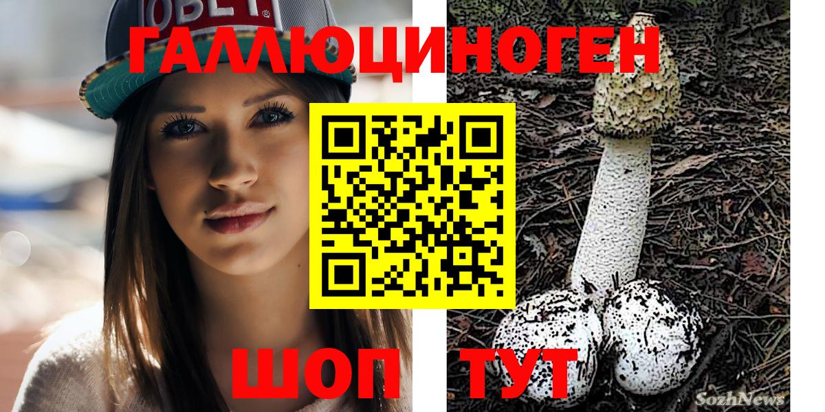 Галлюциногенные грибы Magic Shrooms Волгодонск