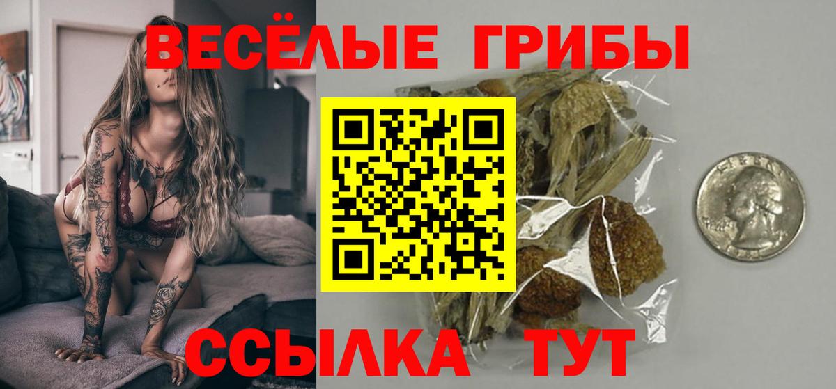 Псилоцибиновые грибы GOLDEN TEACHER  продажа наркотиков  Волгодонск 