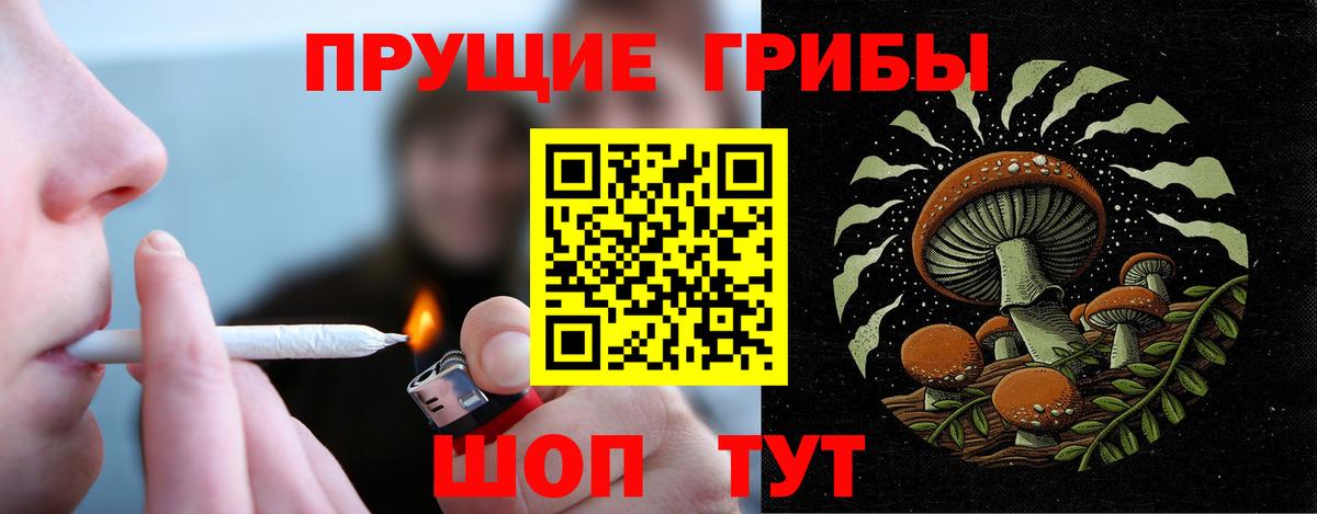 Волгодонск  Галлюциногенные грибы ЛСД  Галлюциногенные грибы прущие грибы  Вход с VPN 