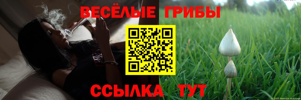 Псилоцибиновые грибы Волгодонск