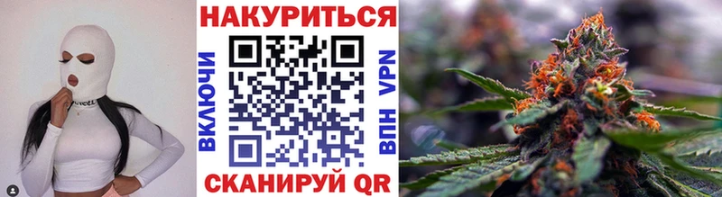 Бошки марихуана SATIVA & INDICA  где продают   Волгодонск 